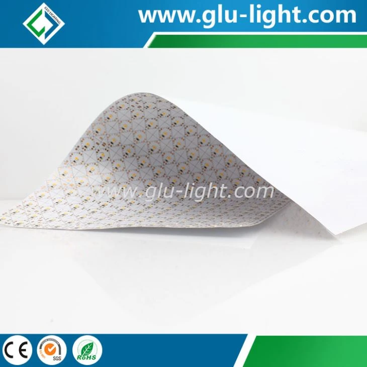 China supplier OEM Ra97 full spectrum>90 led flexible bi color 2835 flexible led mat